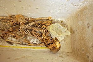 Skeletal remains of a high official from the 2nd half of the 5th dynasty (image © Martin Frouz, archive of the Czech Institute of Egyptology, CU FA).