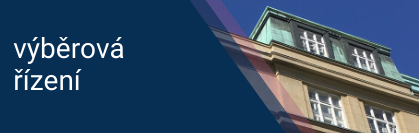 vyberova rizeni